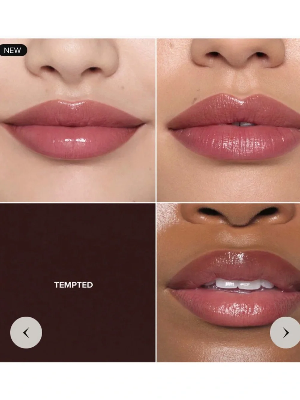 NEW✅ABH Tempted